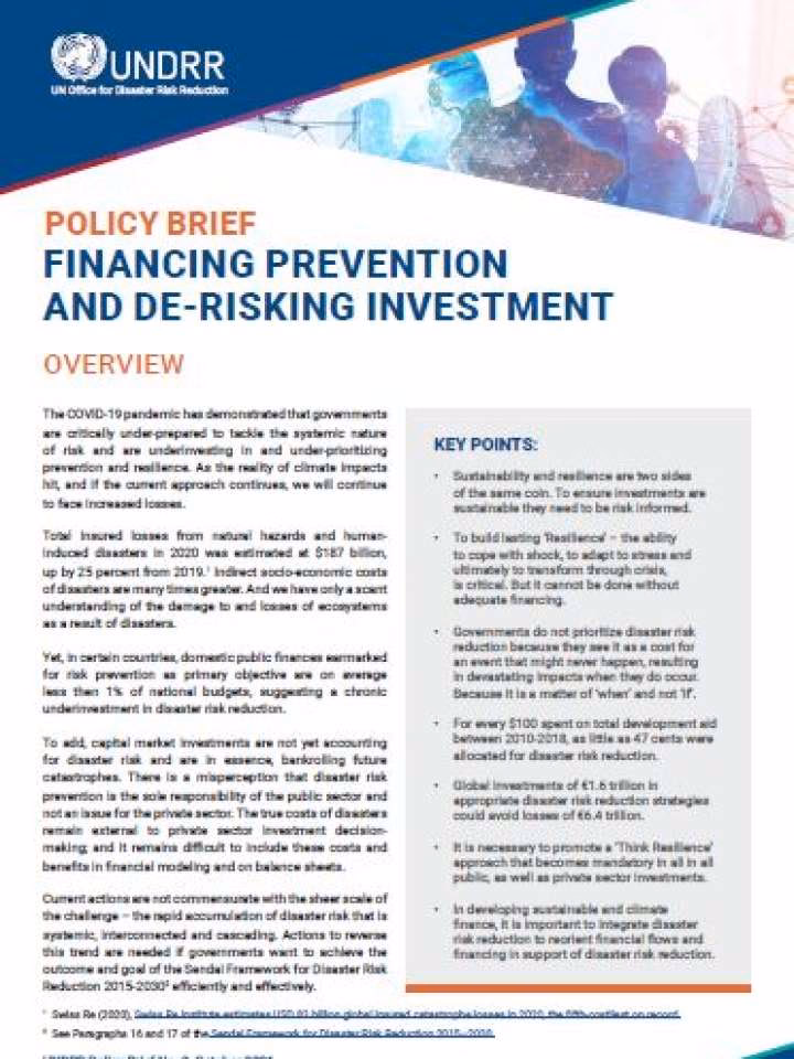 ¿Cuáles son las secciones clave de un Policy Brief?