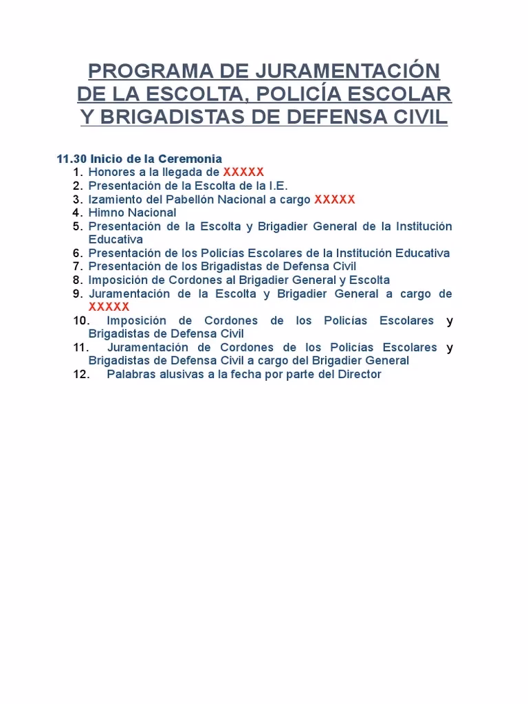 ¿Cuáles son los ejes del programa de policías?