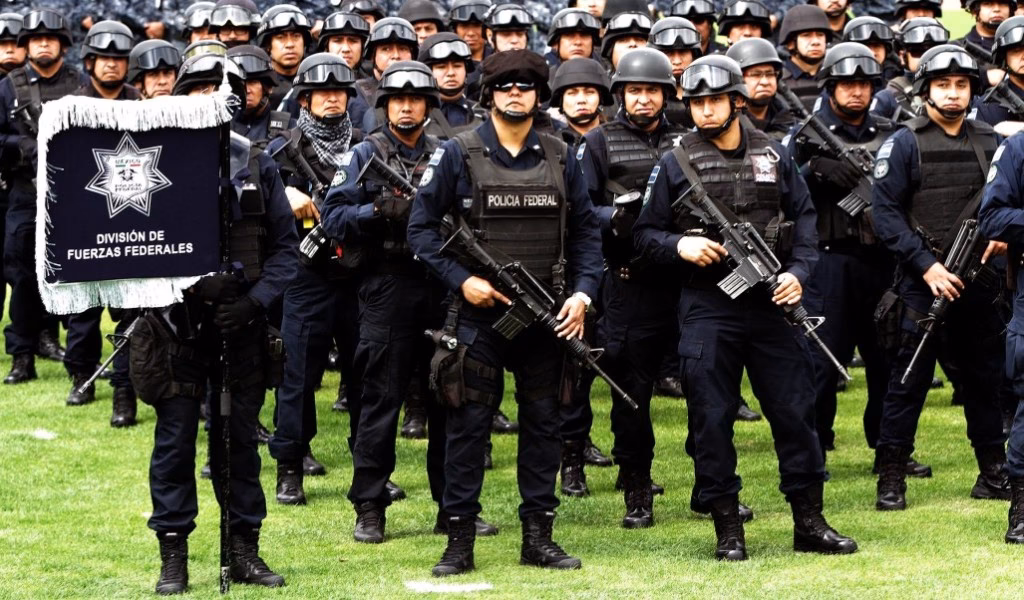 ¿Quién creó la Policía Federal?