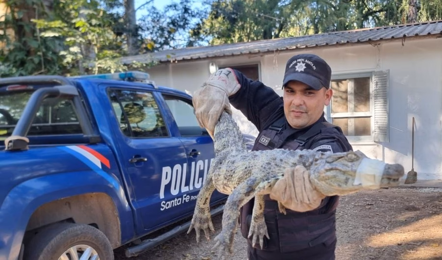 ¿Qué herramientas tecnológicas debe fomentar la policía ambiental y ecológica?