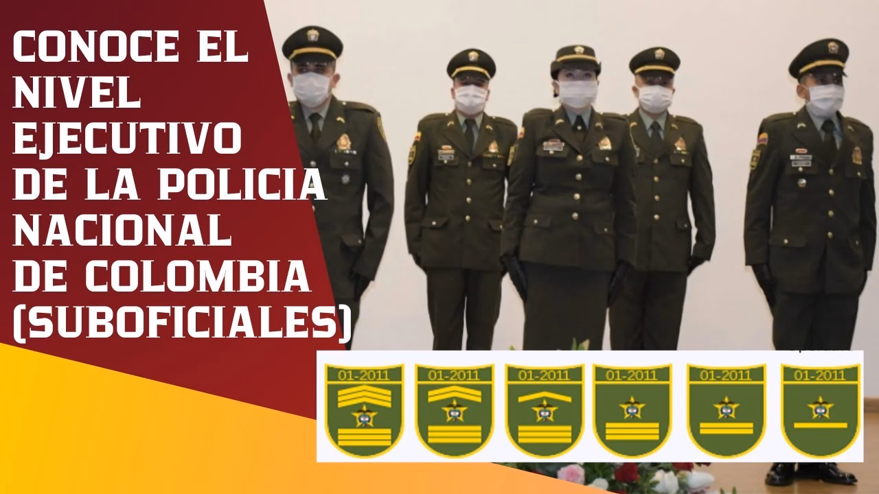 ¿Cuál es la función de un suboficial?