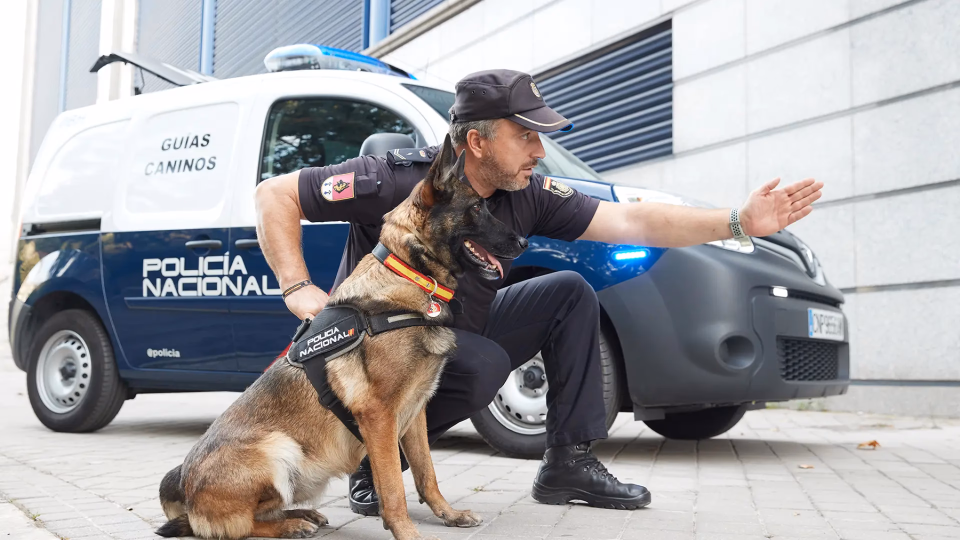 ¿Qué habilidades tienen los perros policía?
