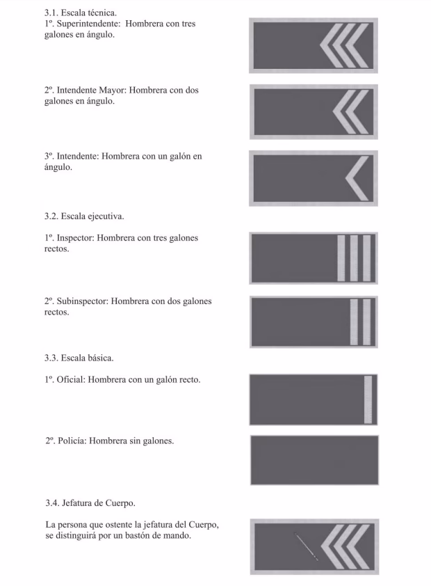 ¿Cuáles son las diferencias entre las categorías y escalas de policía local?