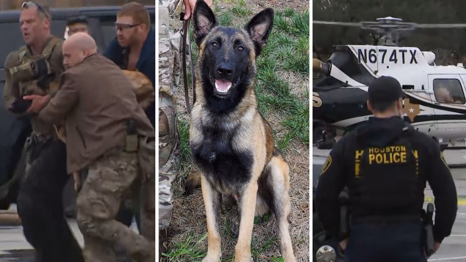 ¿Qué pasó con el perro policía Rocky?