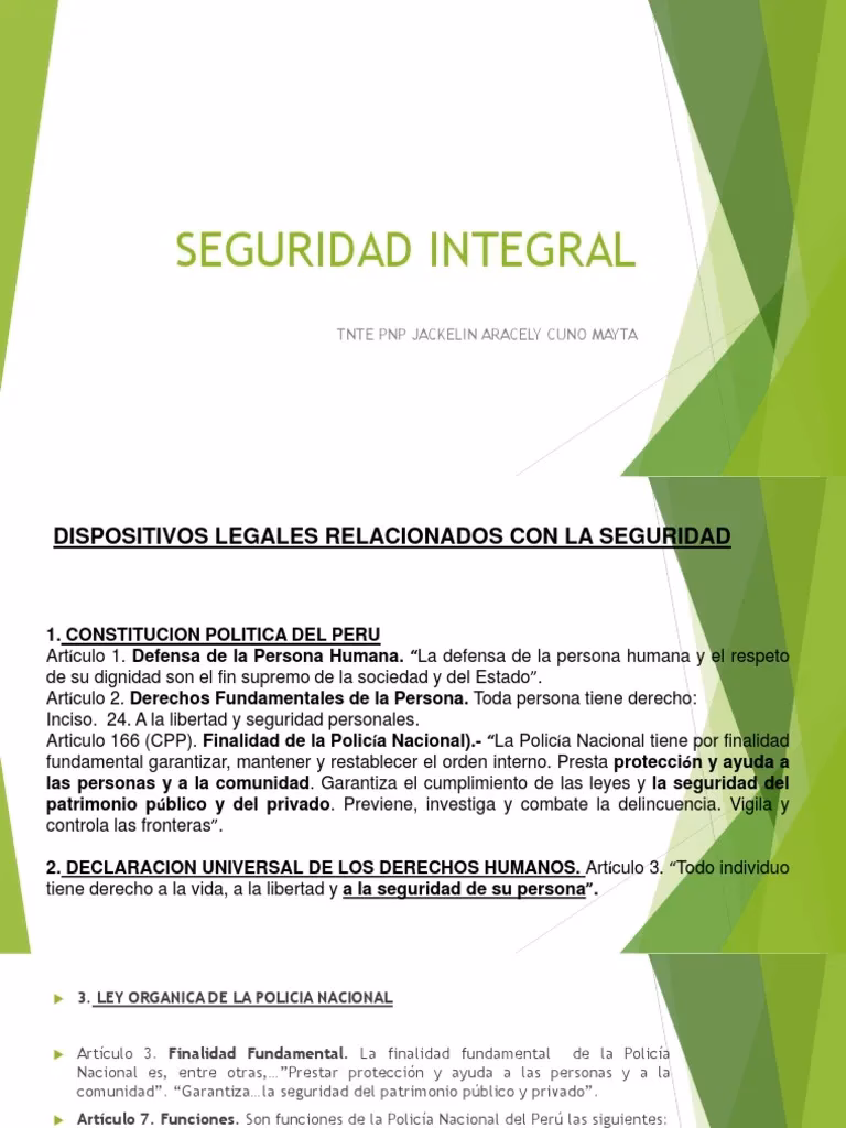 ¿Qué es la seguridad integral?