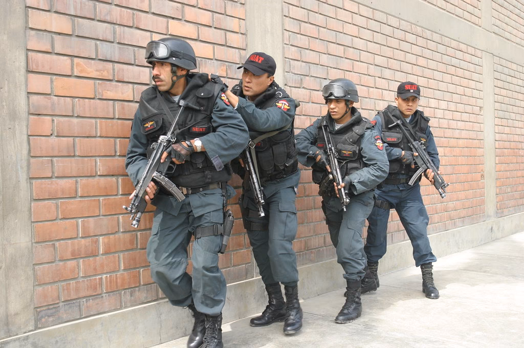 ¿Cuál es la potestad sancionadora de la Policía Nacional del Perú?