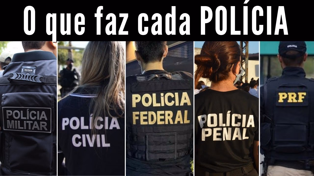 ¿Cuáles son los diferentes tipos de policía?