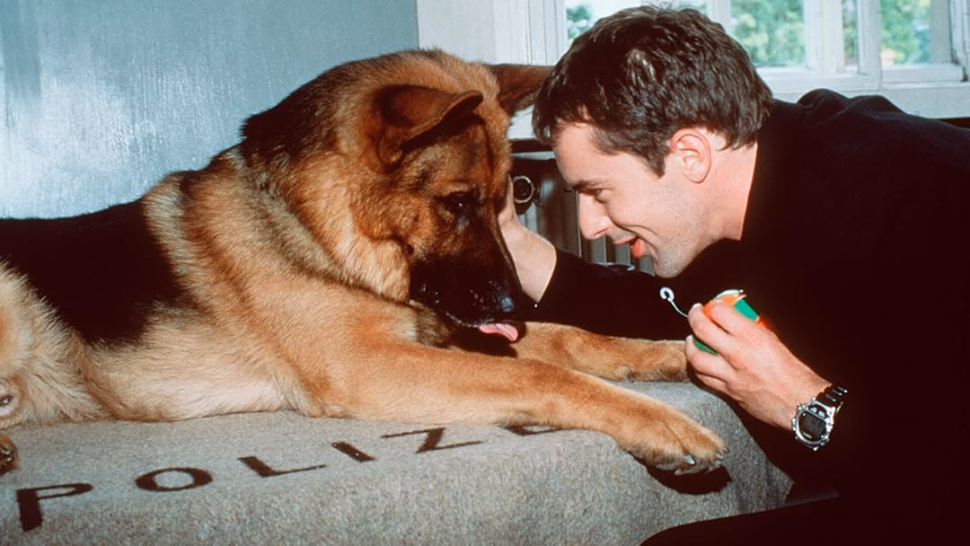 ¿Cuál es la diferencia entre la policía y el instituto armado?